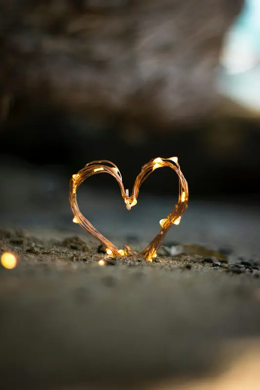 Counselor.Love Premium Domain